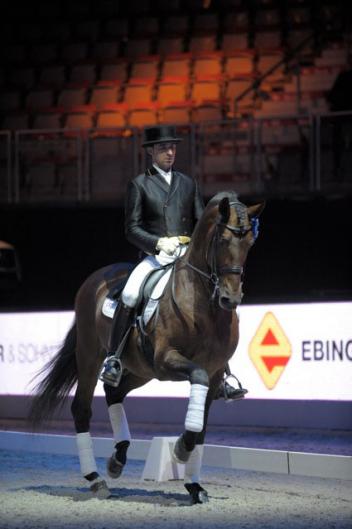 Dani Martin and Hampton Green Farm's Grandioso gained the respect of the larger International Dressage community with solid performances at the Grand Prix and Grand Prix Kur last weekend in Salzburg CDI4* Germany. 
