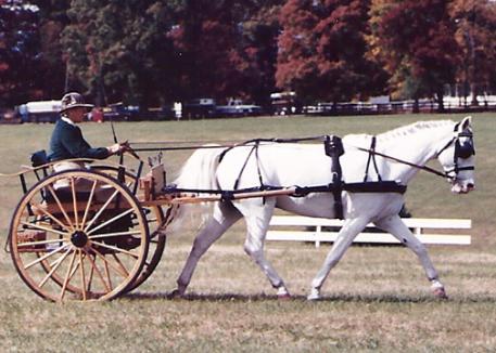 In 1993 at the then only advanced competition for driving in the United States, Humphreys and Chalkline finished 4th .