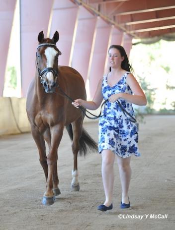 Katie Passerotti's horse Lucky Dragon 