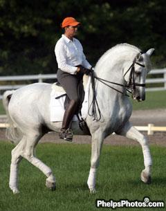 Pierucci rides and competes more PRE horses on the dressage circuit than any rider in the country