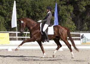 Charlotte Jorst and Vitalis (Photo: McCool Photography)