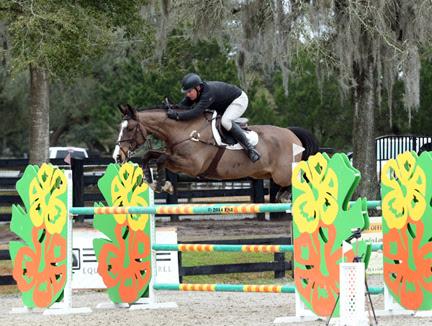 Aaron Vale and Gems Bond win the ,500 Brook Ledge Open Welcome at HITS Ocala this week. ©ESI Photography