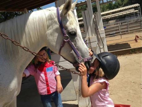 Ambition, the Arabian inspiring the love at San Diego Saddle Club LLC