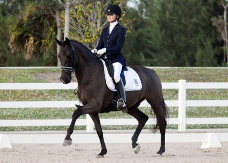 Cutler Farm's Mary Bahniuk Lauritsen who rode Ansgar, a 2005 Dutch Warmblood by Special D, owned by Nicole Polaski to a Third Level Test 1 win with a 71.3% score at the 2012 Wellington Classic Dressage Challenge 1 (Photo: Wellington Photo)