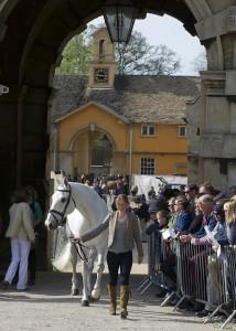 The top 10 after cross-country in the Mitsubishi Motors Badminton Horse Trials have all passed this morning’s trot-up.