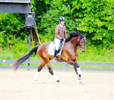 Meagan Davis Dressage Photo: Meagan Davis