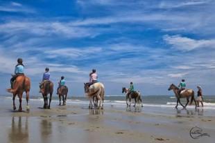 Beach riding is one of the many perks to showing at the Charleston Summer Classic.