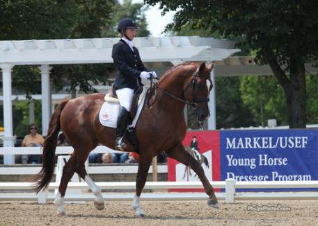 Patricia Becker (Wadsworth, IL) and the Oldenburg stallion Freedom (Feuri-Windjammer by Walk On Top) 
