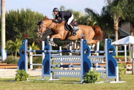 Ben Maher and Diva
