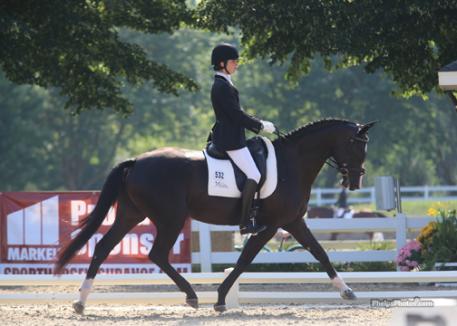 High Valley Hanoverians' won the 2013 Markel/USEF National 4 Year Old Dressage Championship Photo: Mary Phelps