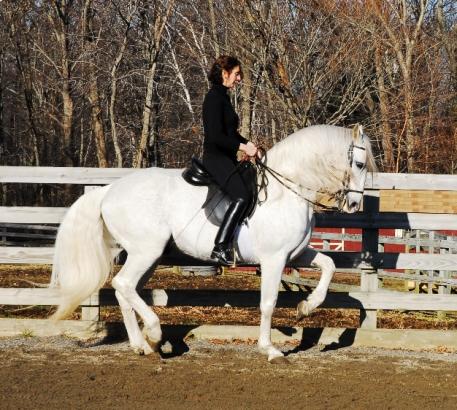 Bettina Drummond and Quemacho