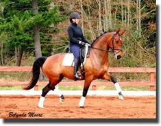Fantastic HW offered by Jennifer Schrader-Williams of Summervale Farm