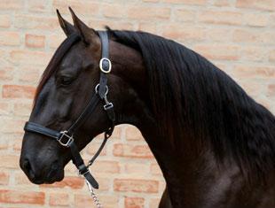 Headshot of Black Tie Interagro (Photo courtesy of Interagro Farm)