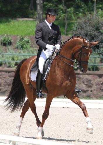 David Blake and Royal Prinz at the 2012 Intermediaire Championships at the USEF Festival of ChampionsPhoto: Tigger Montague
