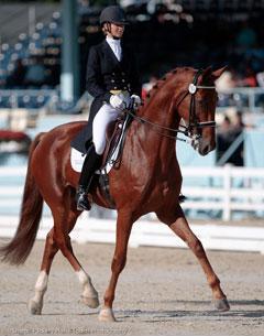 Padre, an American Mustang (Photo Hoof Print Images)