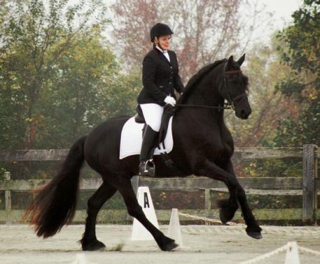 Region 1 - Brianne Reynolds (MD) and her horse, Hershey