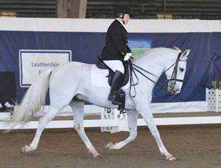 Eleanor Brimmer and Vadico Interagro at the 2011 Dressage Affaire CPEDI3*