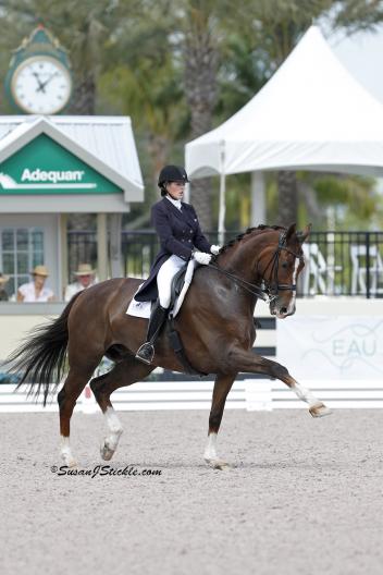 Nation’s Cup Team Bronze medalist, Brittany Fraser and All In competing at the 2013 Adequan Global Dressage Festival. (Photo: SusanJStickle.com)