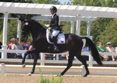 Burberl also collected third place honors with another Davis' ride, Fiderhit O.L.D. (Fidertanz x Fleur/Sandro Hit), on a championship score of 8.620. Photo: Mary Phelps