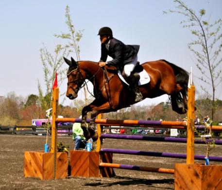 Buck & Reggie this year at The Fork CIC3*