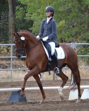 Ashlyn DeGroot and "Dancing Queen" won the CDS Young Horse Futurity for Five-Year-Olds. (Photo: Jennifer M. Keeler)