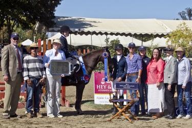 Camille Shelton is tops in the Nor Cal Pony Medal Final. Photo: Sheri Scott