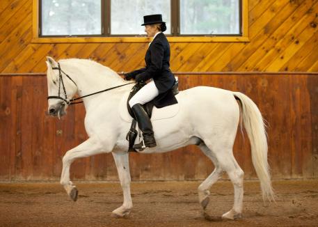 Cari Swanson and Listo in the real world of Dressage