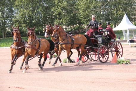 Chester Weber (USA) en route to victory in the Driving test event for the Alltech FEI World Equestrian Games™ 2014 in Normandy. © F. Durand/Attelages magazine