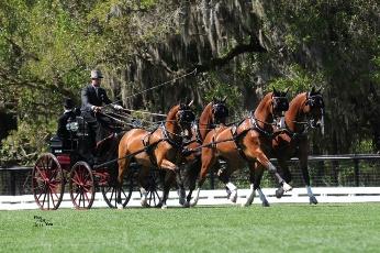 Chester Weber taken earlier this year at Live Oak