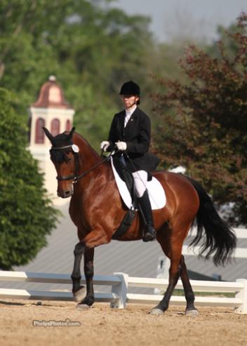 Donna Chiocca and Silke, the American bred Holsteiner mare by Rantares out of High Voltage by Lacoste, at the beautiful Lamplight Equestrian Center. 2012. (Photo: Mary Phelps - Phelpsphotos.com)