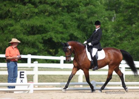 Paul Chiocca reads the test for his wife Donna and their mare Silke. 2012. (Photo: Mary Phelps - Phelpsphotos.com)