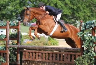 Christopher Payne and Harlan