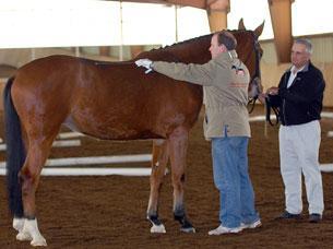 Dr. Christian Schacht teaches conformation assessment with handler and co-owner of Ten Broeck Farm, Phil Silva