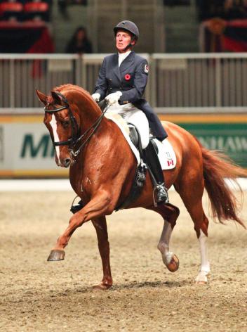 Diane Creech and Devon L had presence and expression to spare, taking first place in the ,000 Royal Invitational Dressage Cup Freestyle. (Photo: Ben Radvanyi)