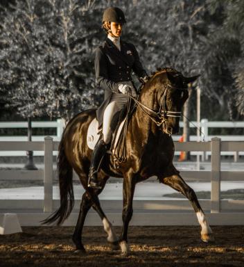 Dressage rider and trainer Caroline Roffman of Lionshare Dressage put in an impressive ride on Sagacious HF in the Young Rider Grand Prix at the Gold Coast Dressage Association(GCDA) Fall Fling. (Photo courtesy of Al Guden)