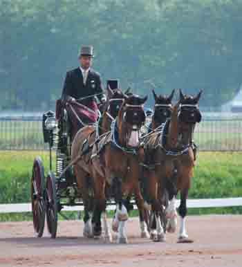 Team Weber in the dressage phase at Caen. (Photo courtesy of Madeleine Augustsson) 