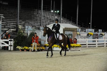 Felix, a 4-year-old Oldenburg ridden by Michael Bragdell won the Materiale Championship after coming second in the USEF Materiale 4 and 5 year old Stallions and Geldings class