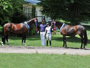 Dheputy- (left) 4-yo licensed Oldenburg (GOV) stallion by Dauphin out of Elite Mare Rhussia (Rotspon/Armin/Eisenherz) and (right) Special Premium Candidate Rhaisonette by Rosentanz out of Fhlora (Fuerst Heinrich/Velton Third) (Photo: WNC Photography)