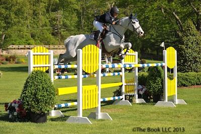 Darragh Kerins and E-Muze Yek   The Book LLC 2013