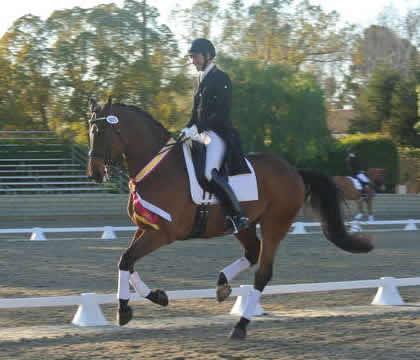 David Blake (Encinitas, CA) on Melanie Pai's Ikaros, a 2000 Danish Warmblood gelding: Photo: Melanie Pai