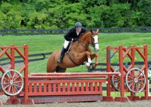 David Oliynyk and Generous on their way to another Diamond Mills &dollar;500,000 Hunter Prix Final with a win in the &dollar;5,000 Devoucoux Hunter Prix win this weekend. &copy;ESI Photography