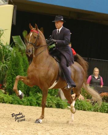  David Rudder and Candalight