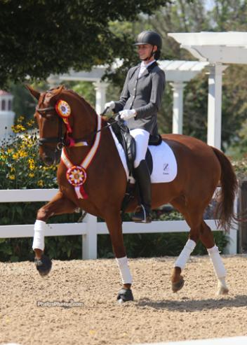 hursday's winner DG Dancing Queen (Jazz x Princes Lincom/Junior) and Ashlyn De Groot (Hanford, GA) earned Reserve Champion honors after scoring 8.860 in the FEI Five-Year-Old Final Test, Photo: Mary Phelps