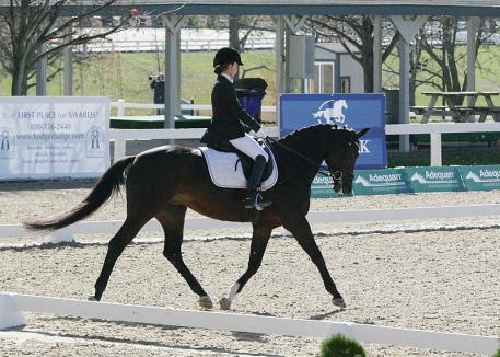 Cecilia Cox riding Donabella at the 2013 US Dressage Finals Photo: DressageDaily