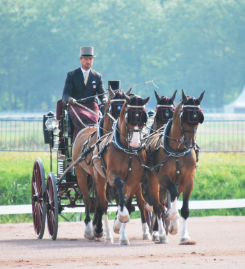 Chester Weber (USA) in the Dressage phase at the Alltech FEI World Equestrian Games 2014 in Normandy test event in 2013 winning the competition. (Photo courtesy of Madeleine Augustsson)