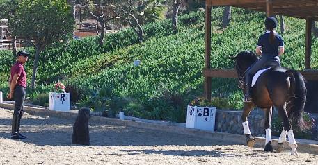 Training grant recipient Para-Equestrian Ashleigh Flores-Simmons with Steffen Peters