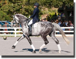 Emily Tears and Lopaca float past the crowd in a beautiful extended trot.