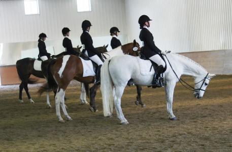 The Equitation phase