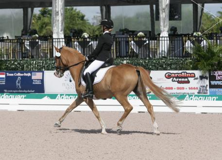 Katrina Sadis, 16 years old, from Ann Arbor, Michigan during the 2014 Dressage4Kids Winter Intensive Training Program Photo: Betsy LaBelle