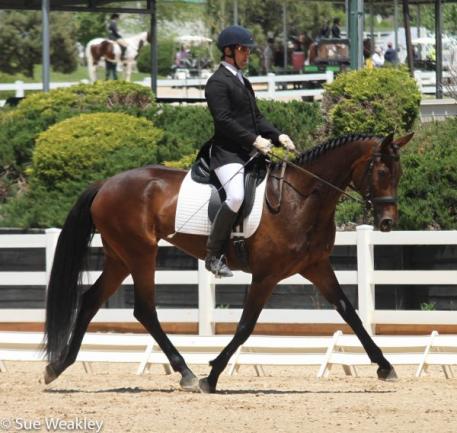 Frederick Magazzeni and Razz Ma Tazz in the Rising Star Training Level Test 1 